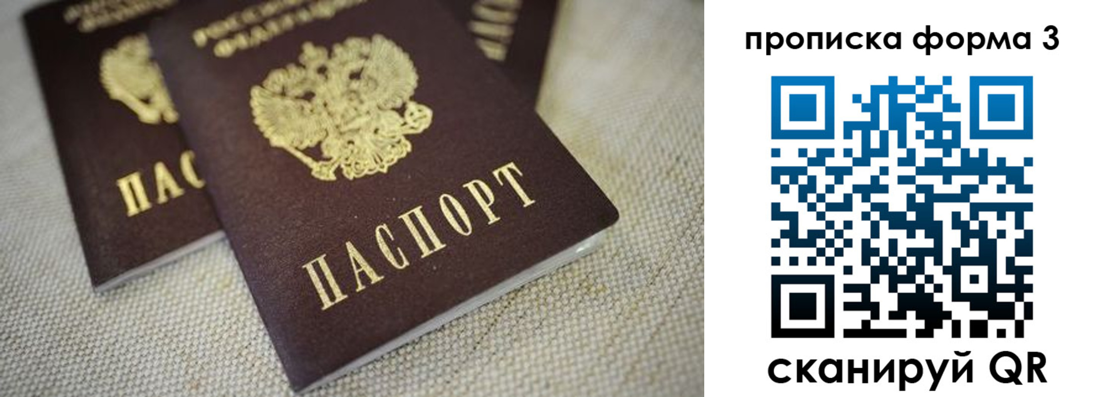 прописка поиск в Партизанске